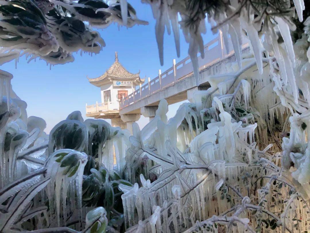 生化危机：浣熊市行动